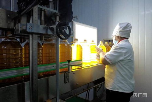 高質(zhì)量發(fā)展 新 速度丨新疆高質(zhì)量推動糧油產(chǎn)業(yè)集群建設