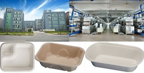 從植物纖維到環(huán)保餐桌 實(shí)業(yè)公司在packcon展區(qū)引領(lǐng)餐包新風(fēng)尚